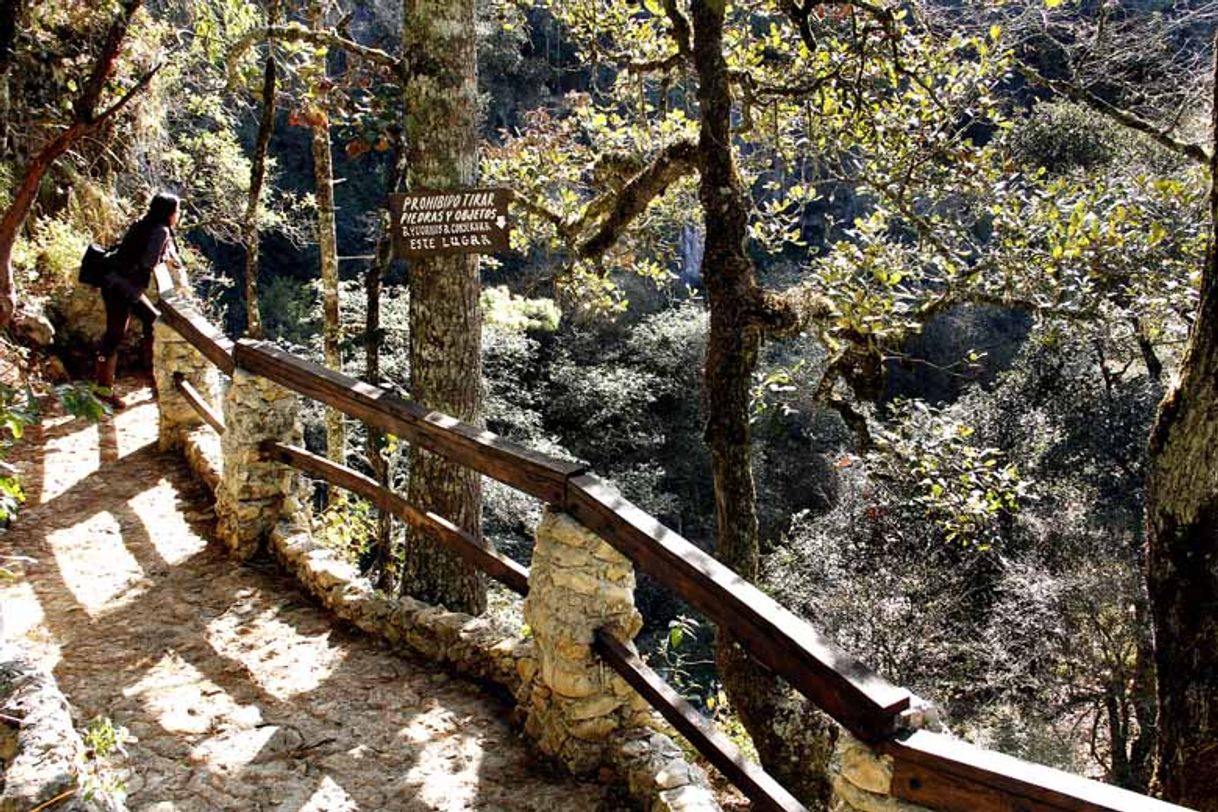 Lugar El Arcotete Parque Ecoturístico