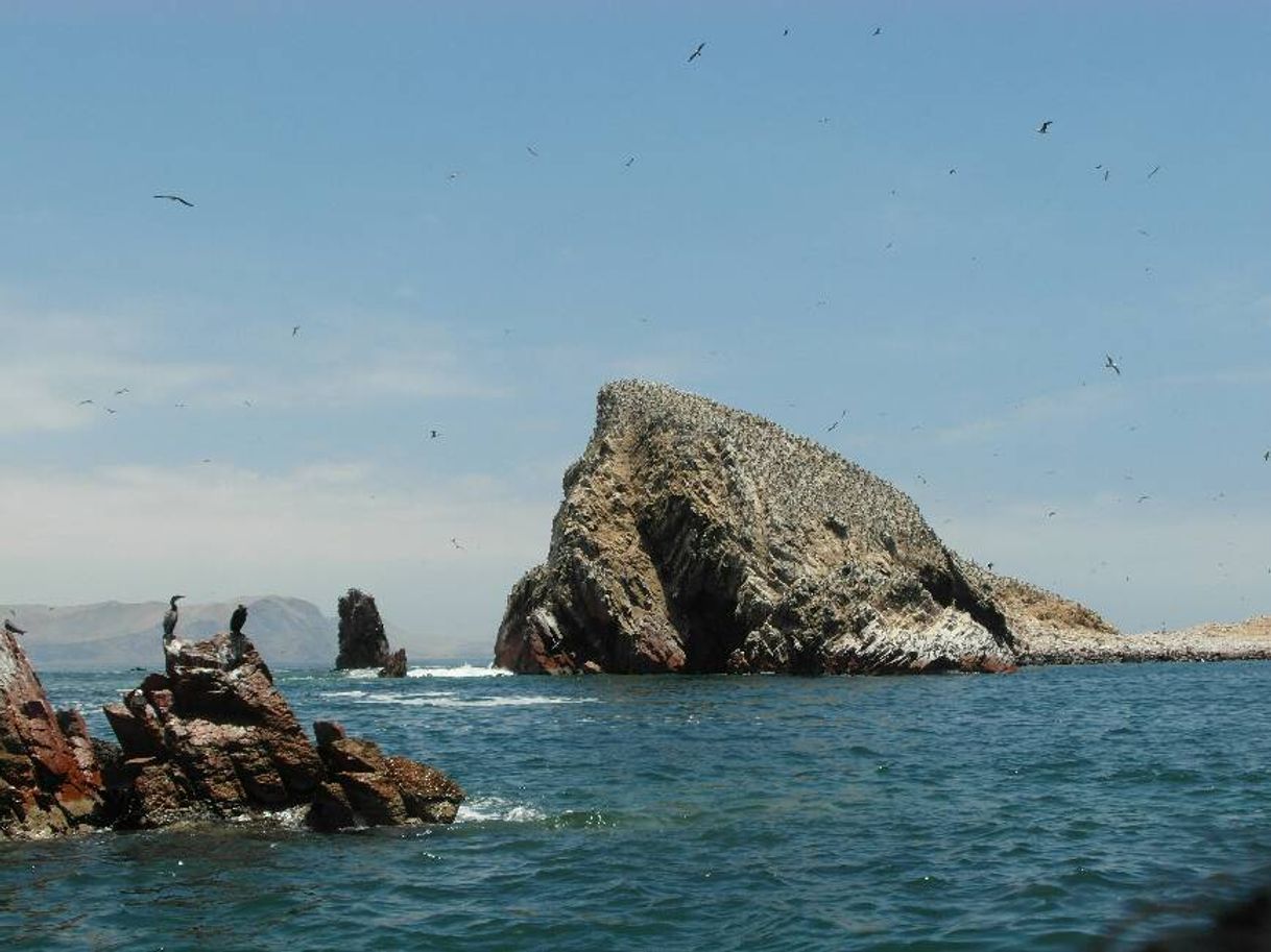 Lugar Islas Ballestas