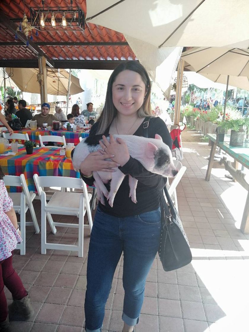 Restaurantes La Herradura