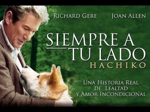 Hachi: A Dog's Tale