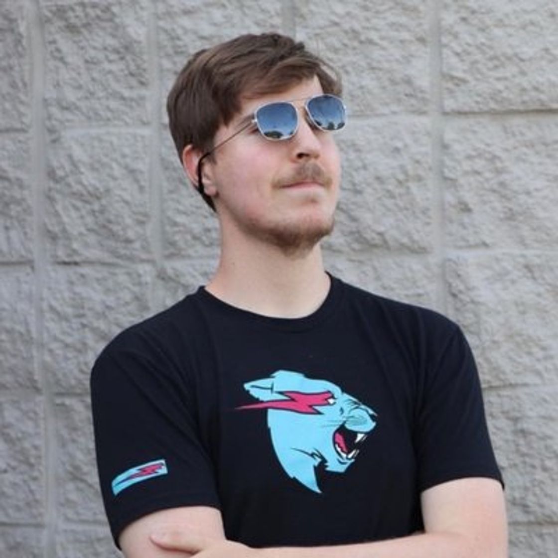 Social Mr Beast 