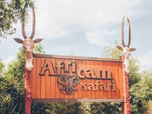 Africam Safari