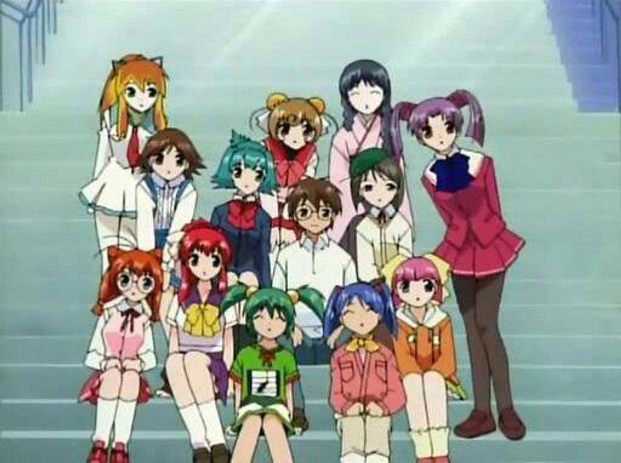 Social Tenshi No Shippo