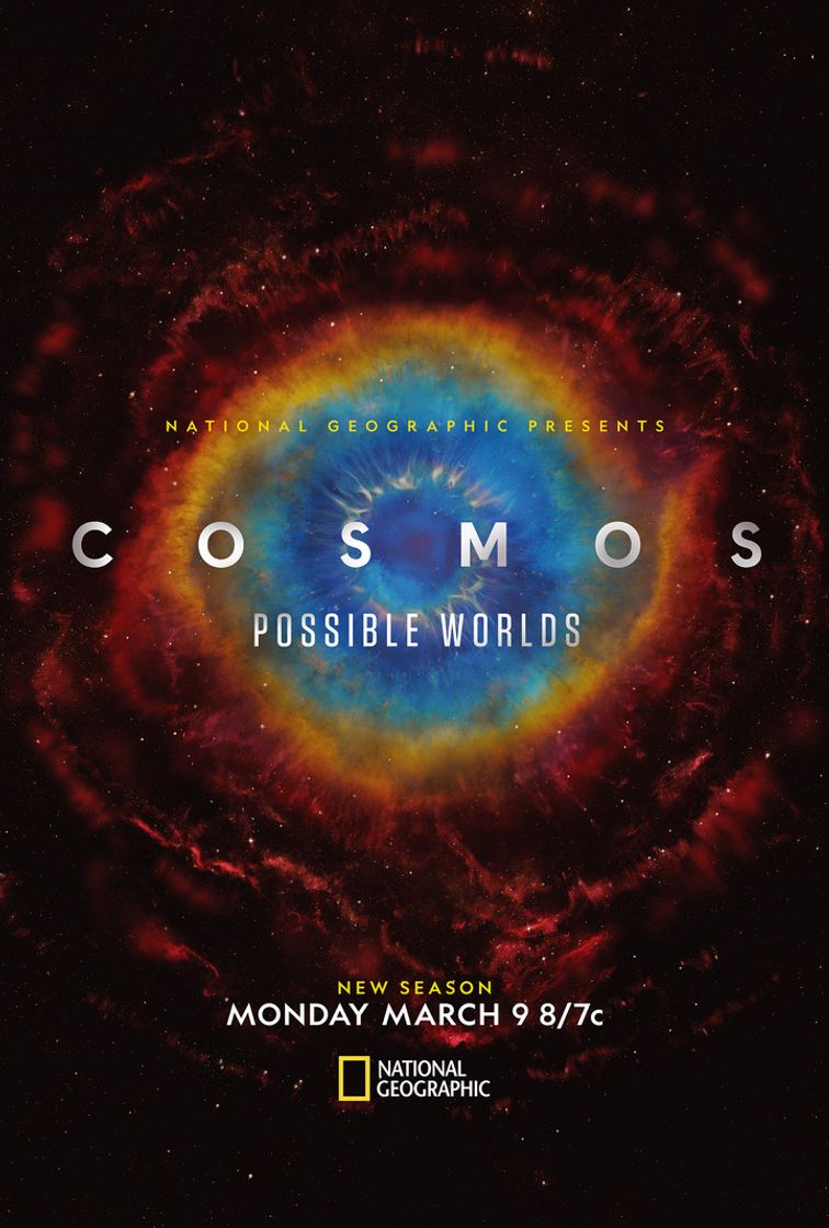Libro Cosmos Possible Worlds