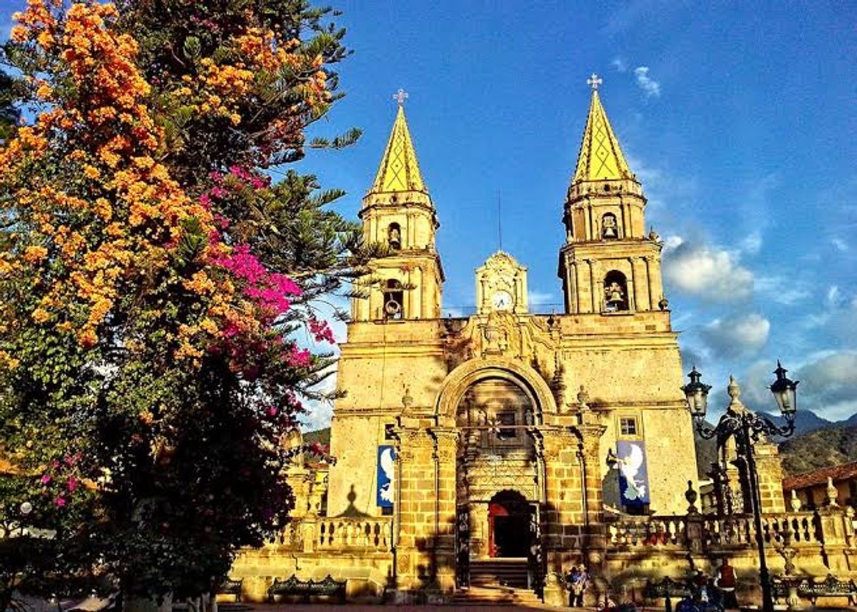 Place Talpa de Allende