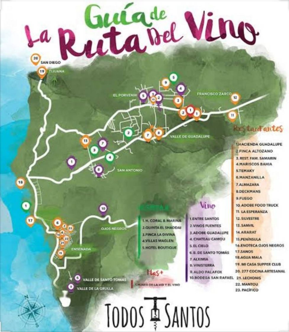 Place La Ruta del Vino