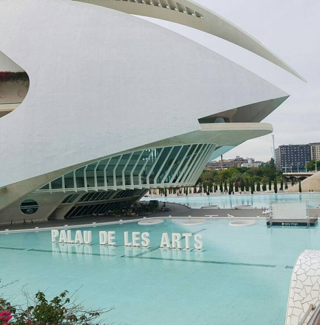 Place Palau de les Arts Reina Sofía (Opera Valencia)