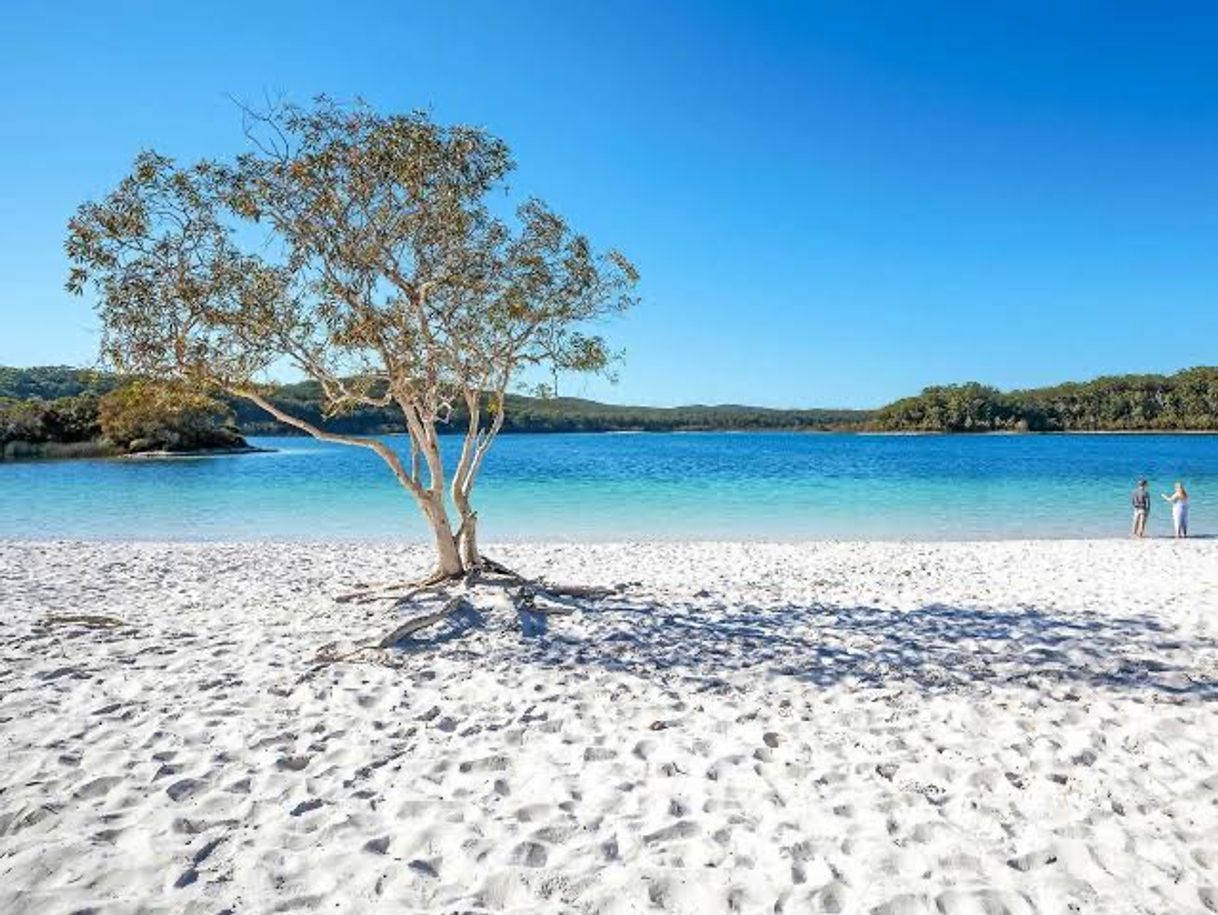 Lugar Fraser Island