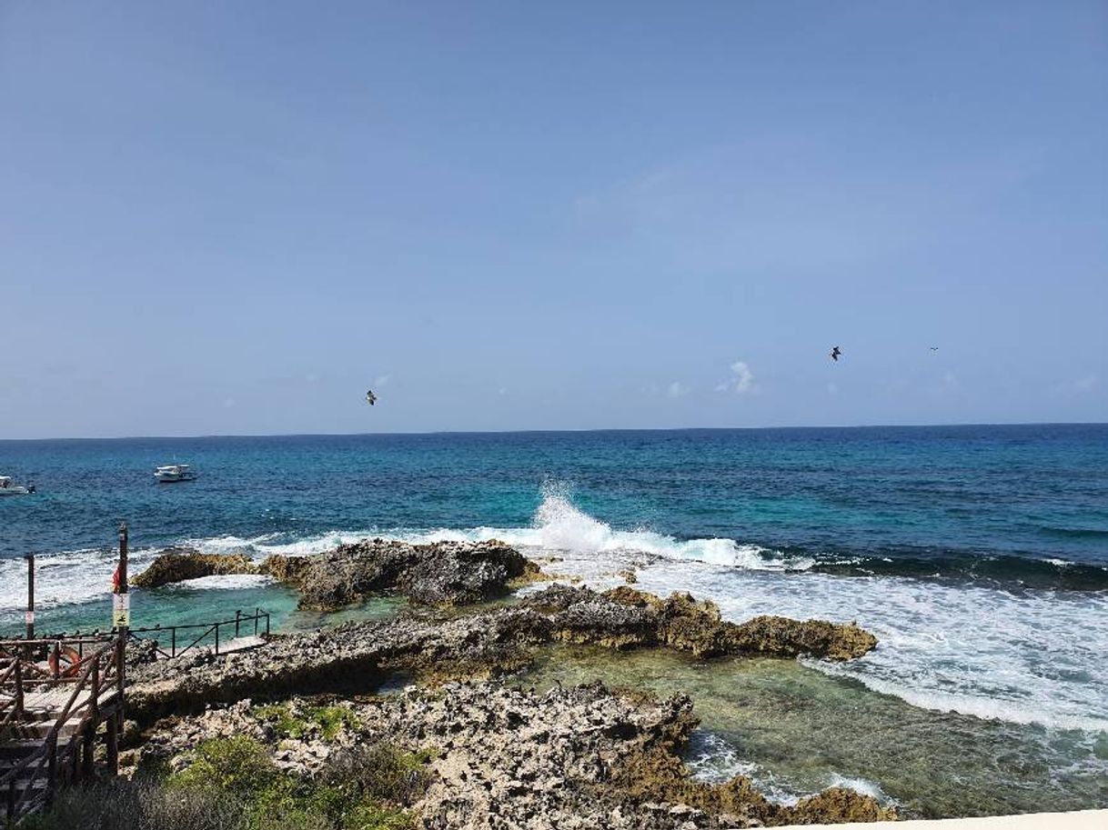 Lugar Mía Reef Isla Mujeres