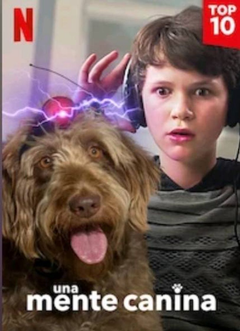 Movie Una Mente Canina