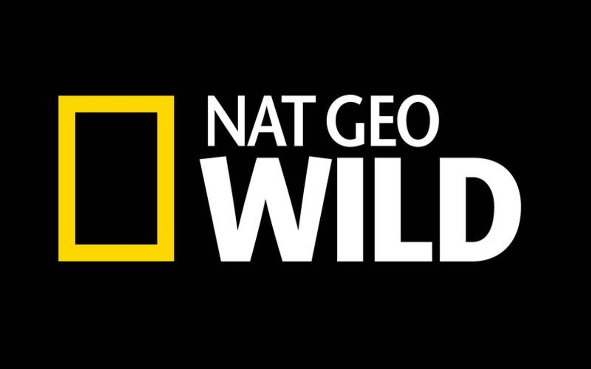 Moda NAT GEO WILD