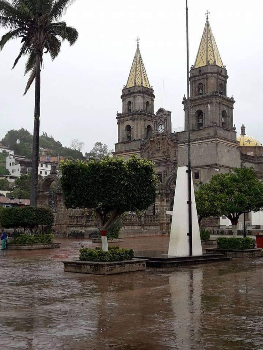 Lugar Talpa de Allende