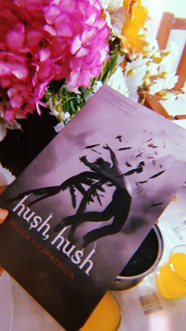 Book Hush, Hush