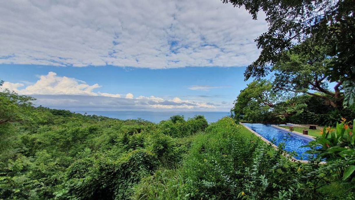 Lugar Palapa Jungle House