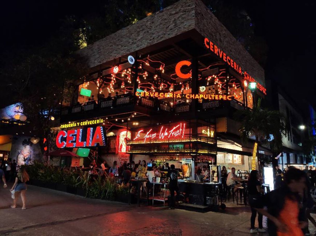 CERVECERÍA CHAPULTEPEC - 5ta Avenida