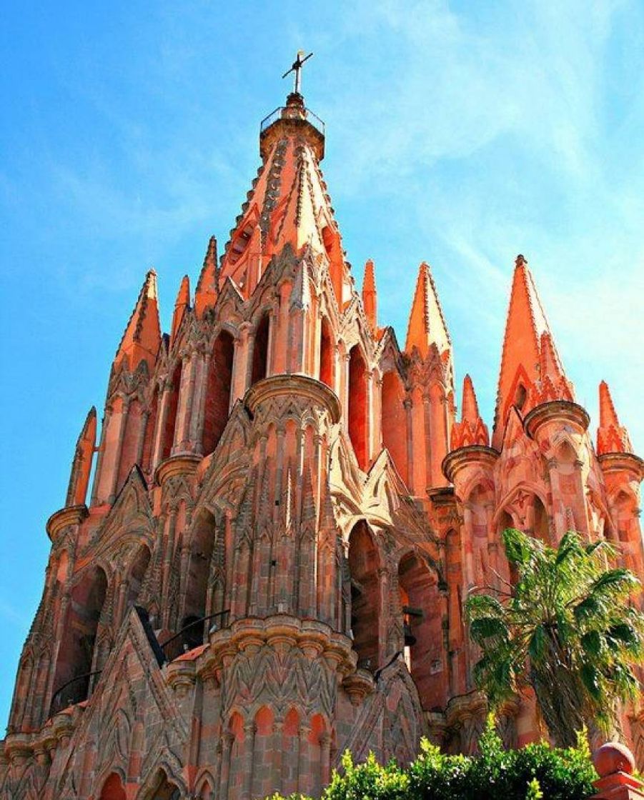 Place San Miguel de Allende