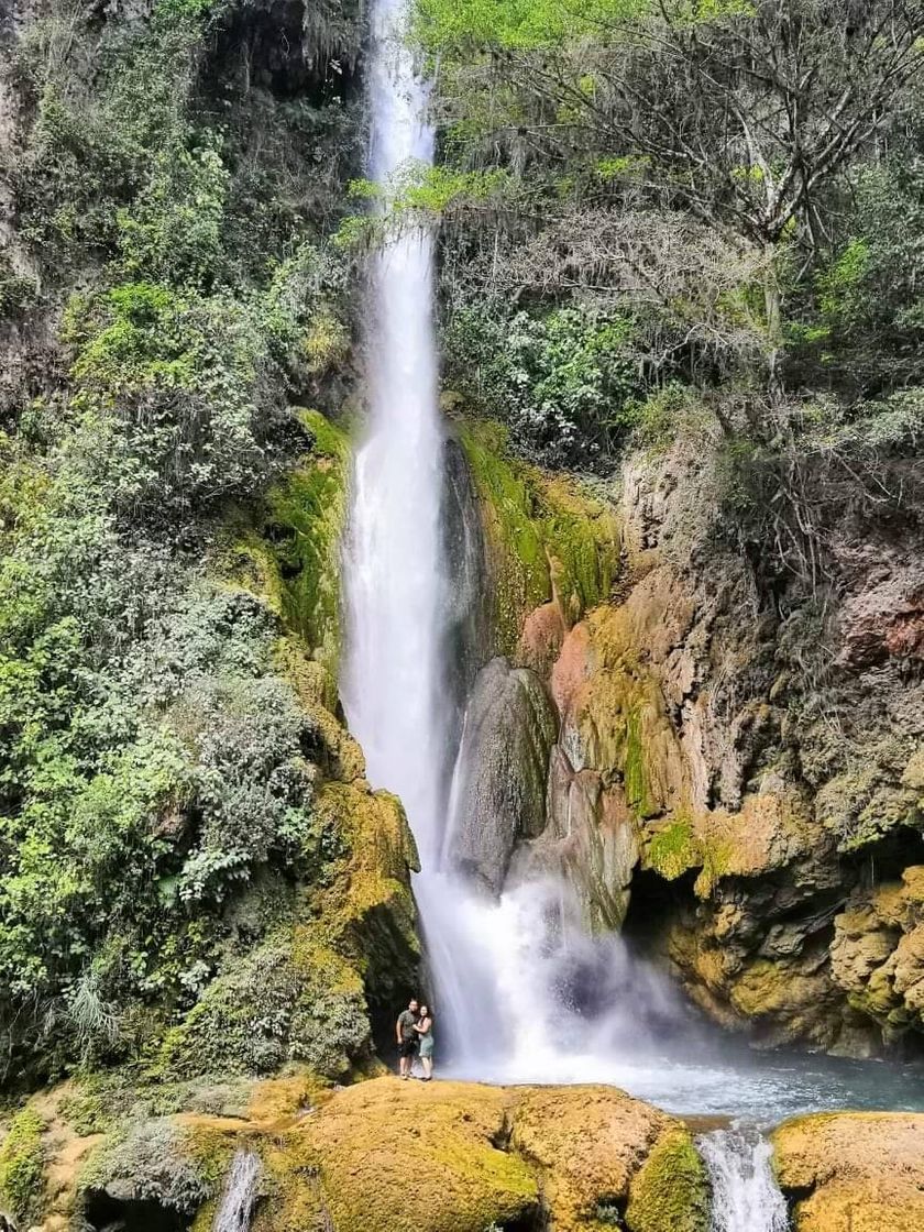 Place Cascada el Aguacate