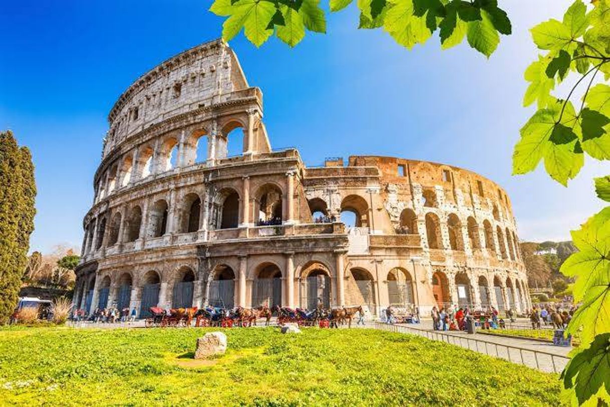 Lugar Coliseo de Roma