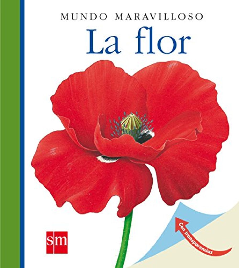 Book La flor
