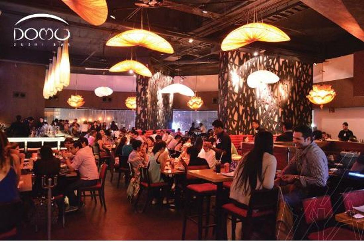 Restaurants Domu Sushi Bar