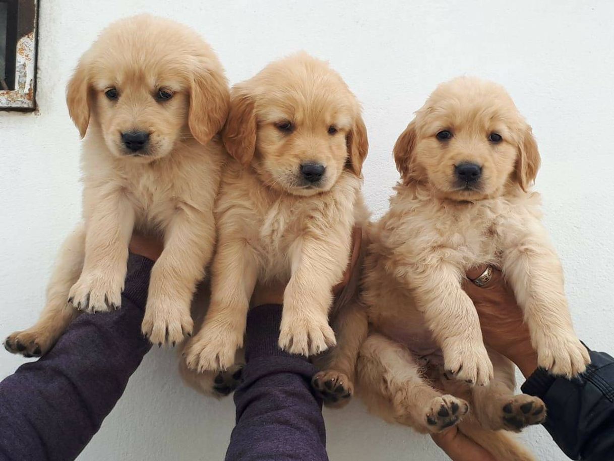 Five