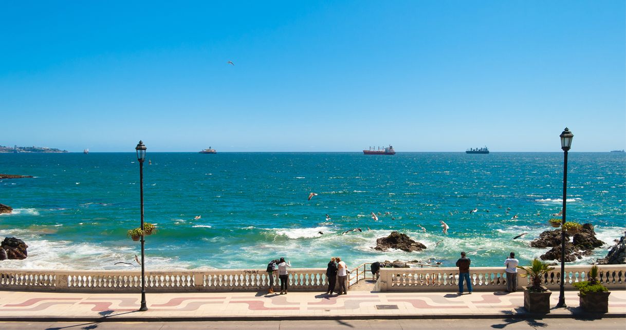 Place Viña del Mar