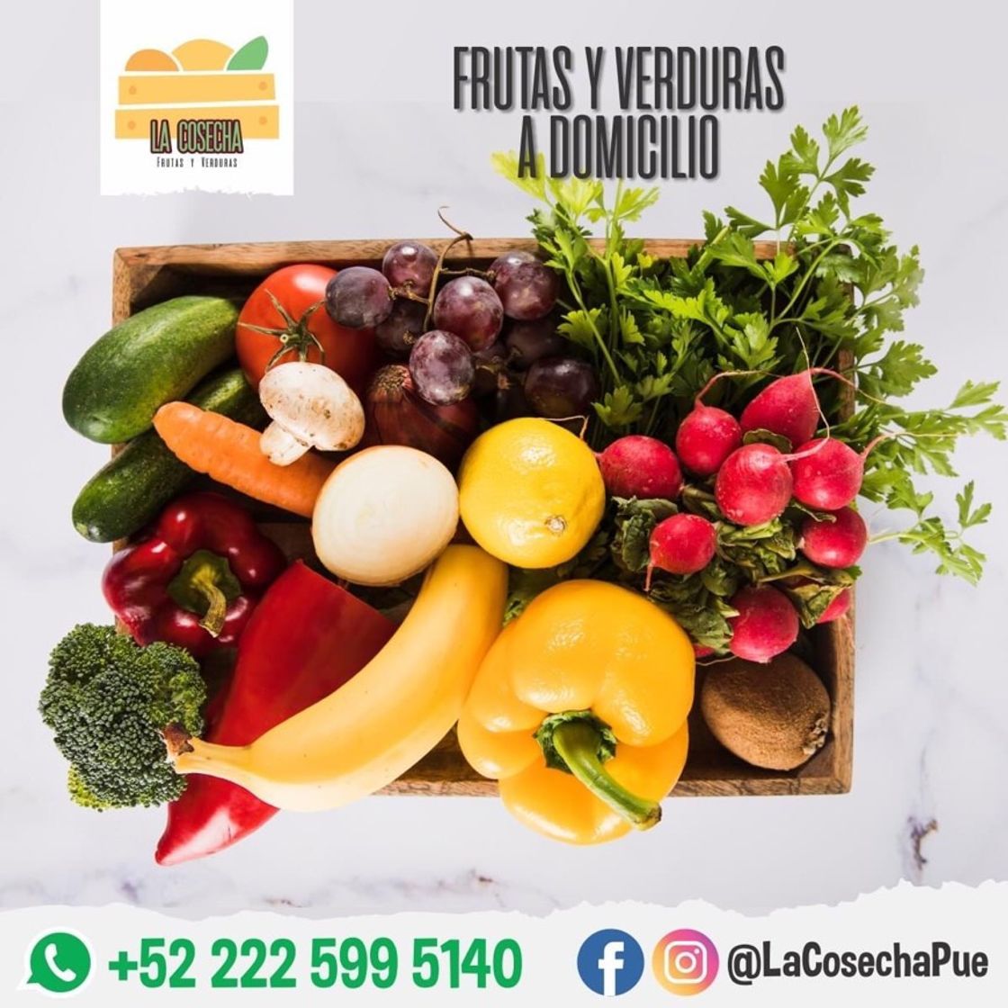 Moda Compra de frutas verdura y más