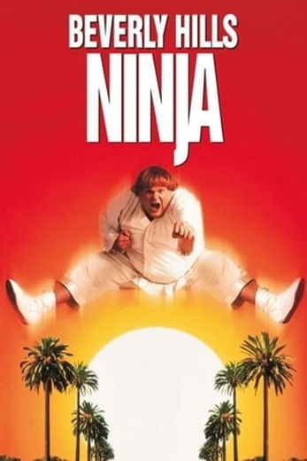 Beverly Hills Ninja