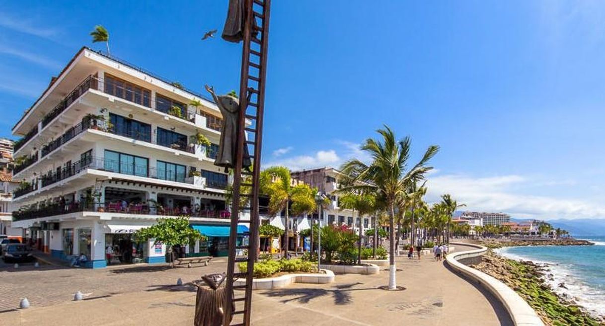 Lugar Puerto vallarta malecon