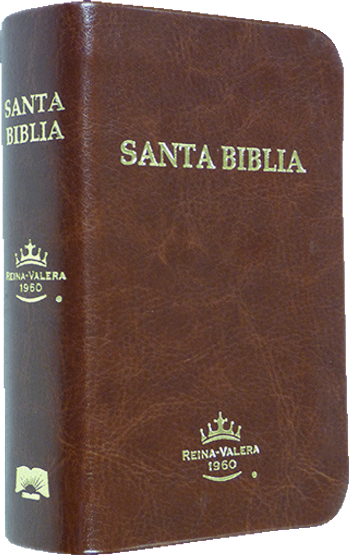 Fashion Santa Biblia 