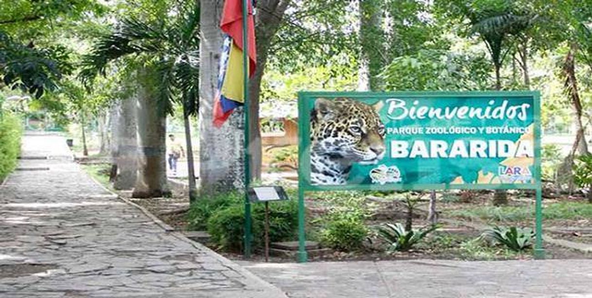 Lugar Parque Zoológico Bararida