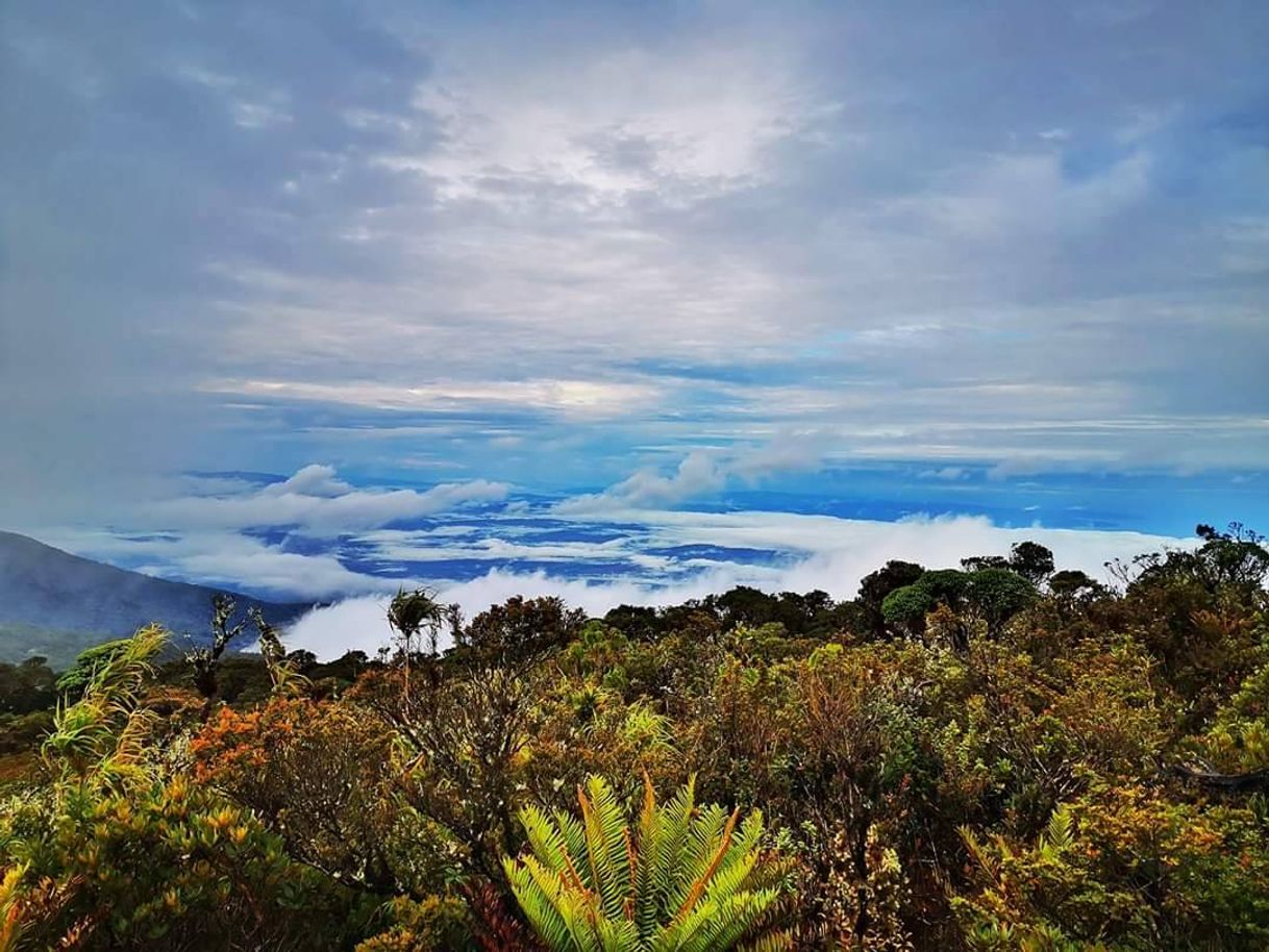 Lugar Cerro Ena