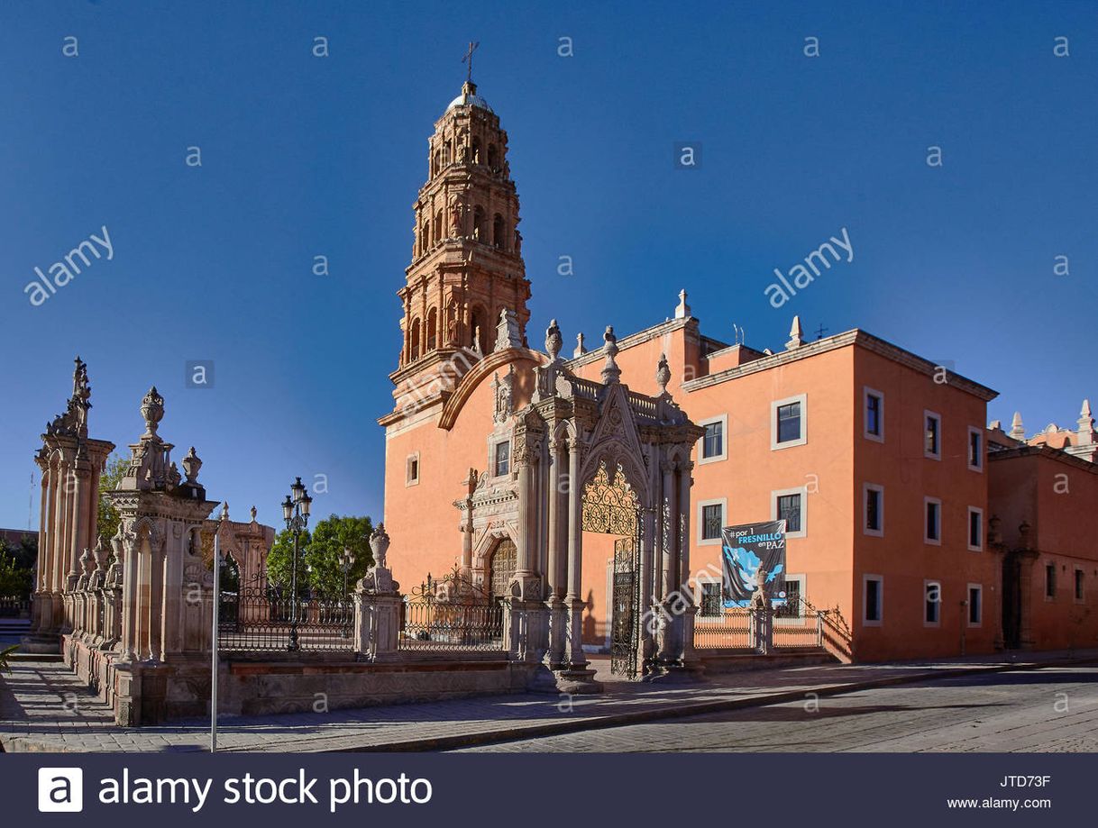 Place Fresnillo