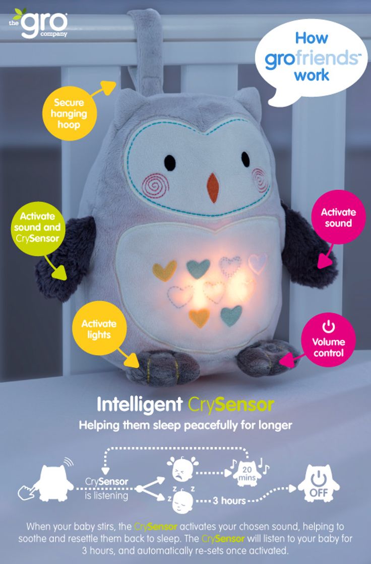 Social Ollie the owl 