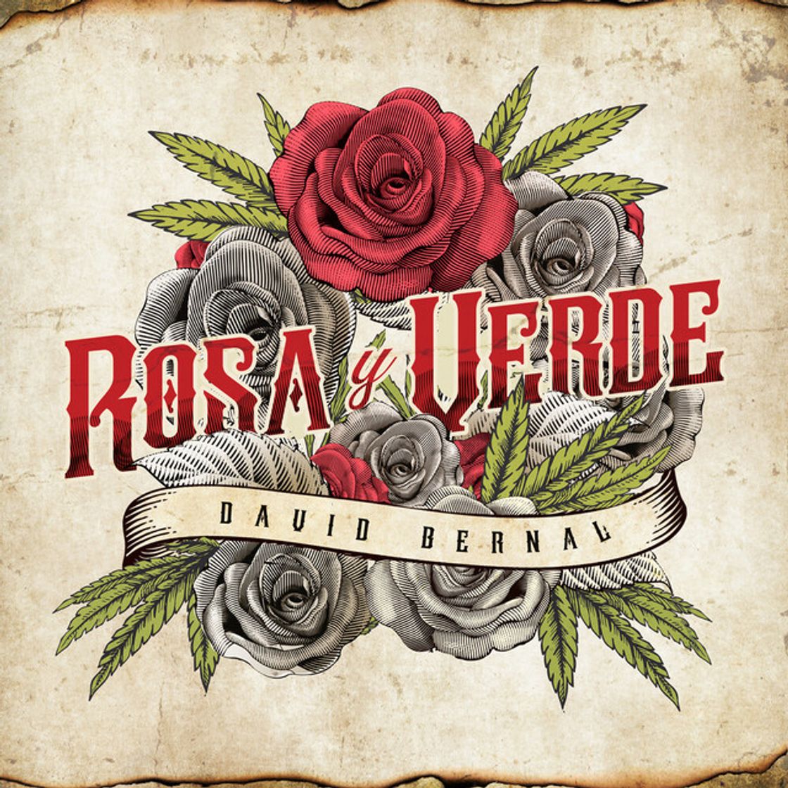 Canción Rosa y Verde