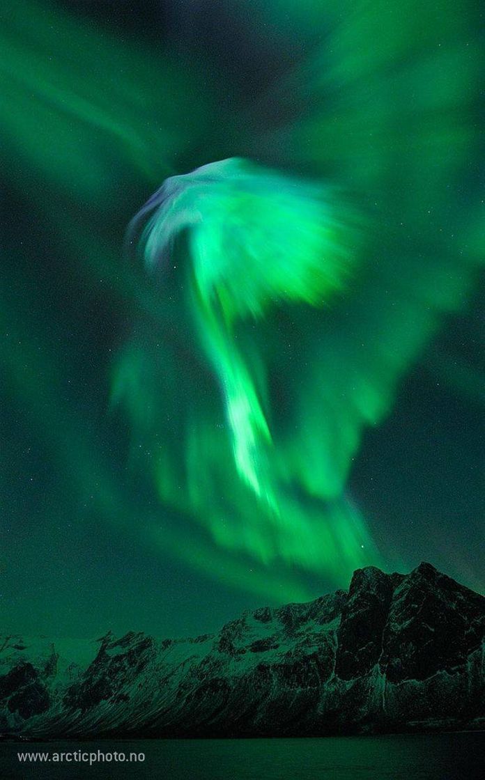 Fashion Aurora Boreau forma águia na Noruega