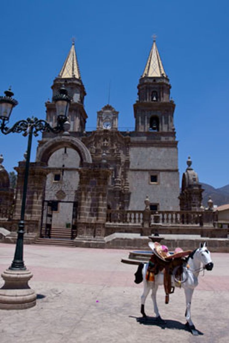 Place Talpa de Allende