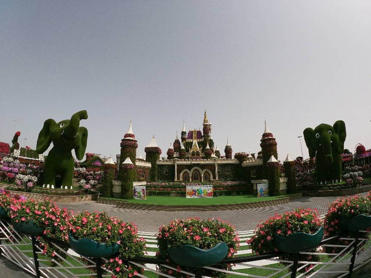 Place Miracle Garden
