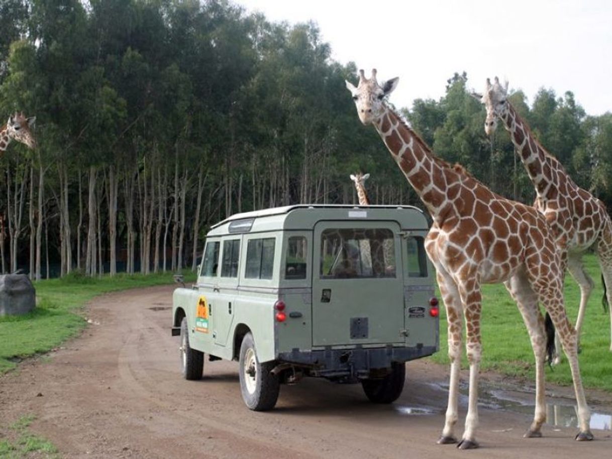 Place Zoológico Guadalajara