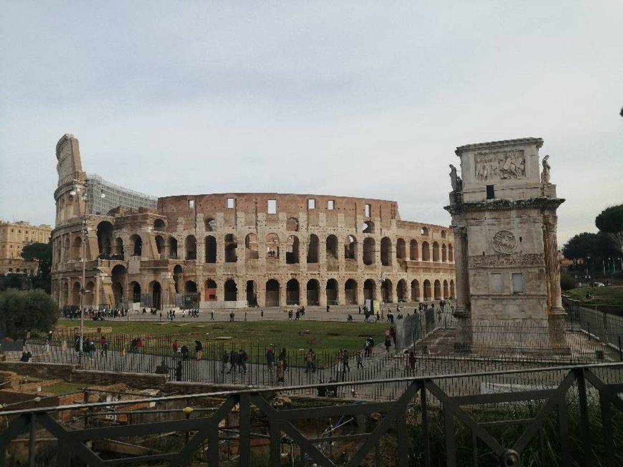 Lugar Coliseo de Roma