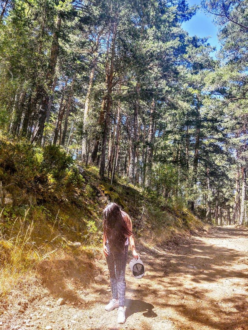 Lugar La Panera -area Recreativa-