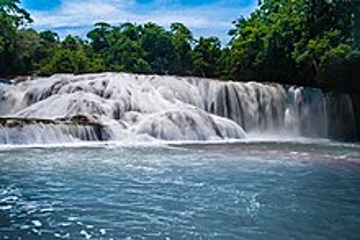 Place Cascadas de Agua Azul