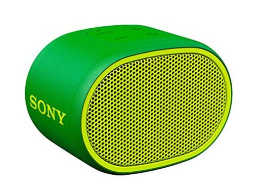 Sony SRSXB01G - Altavoz inalámbrico portátil