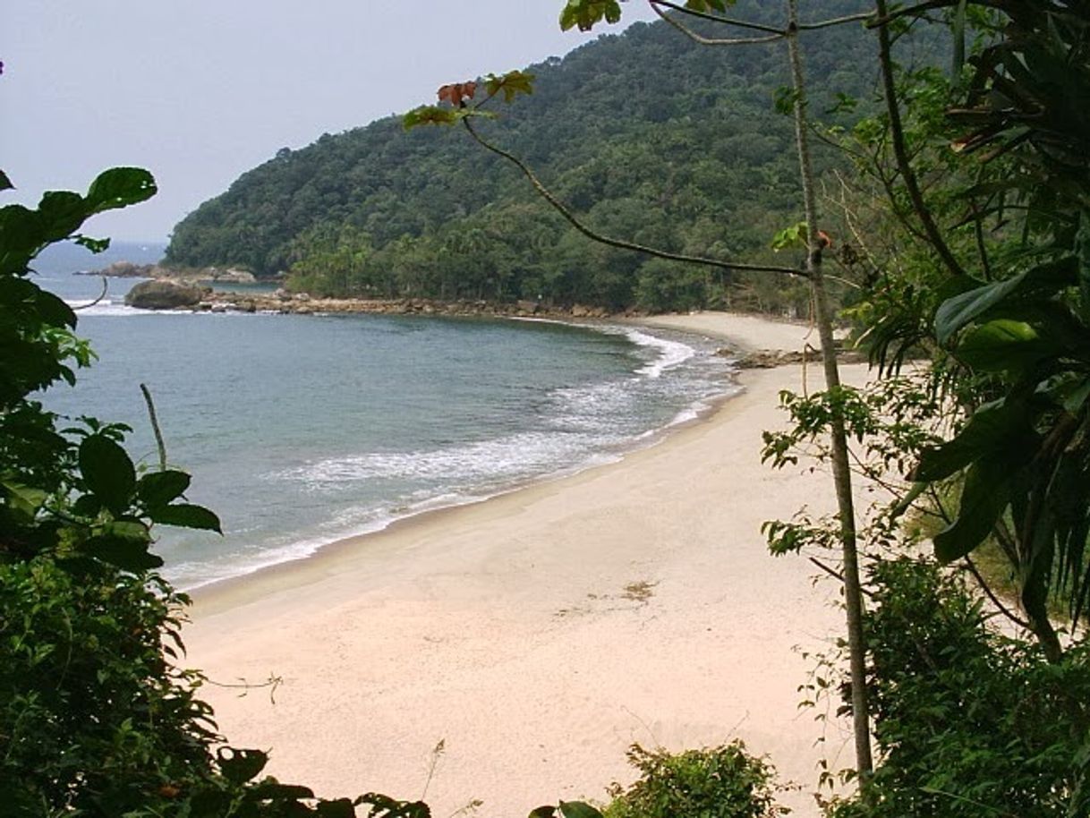 Lugar Praia Guarujá