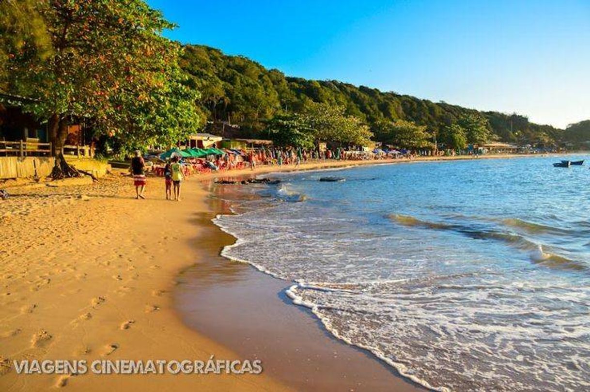 Fashion Praia tartaruga 🏖️