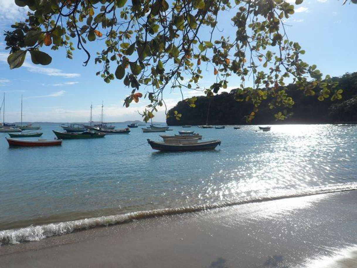 Moda Praia dos ossos 🏖️