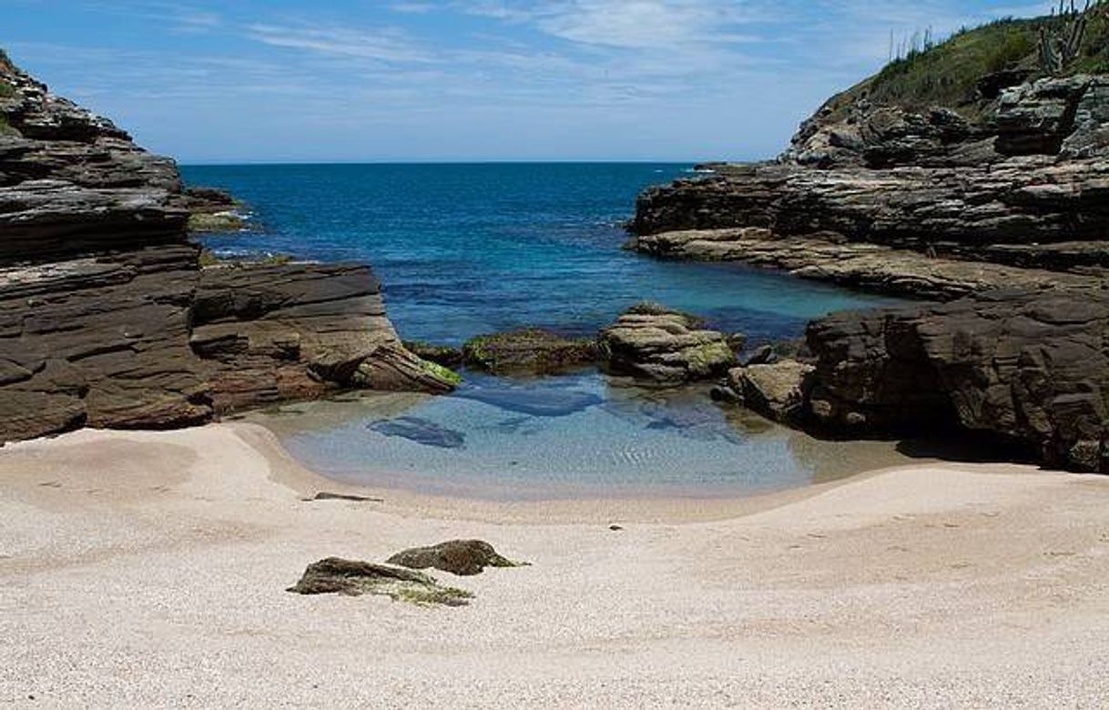 Moda Praia da foca 🏖️