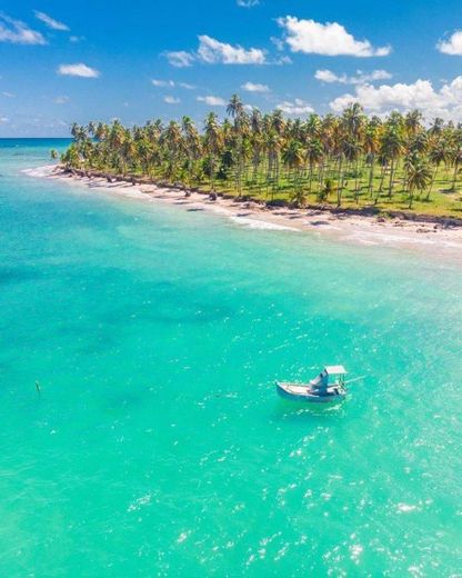 Maceió 🌴