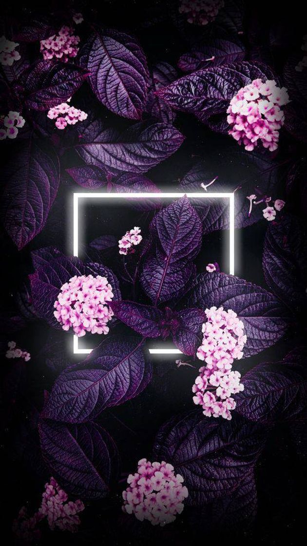 Social Wallpaper