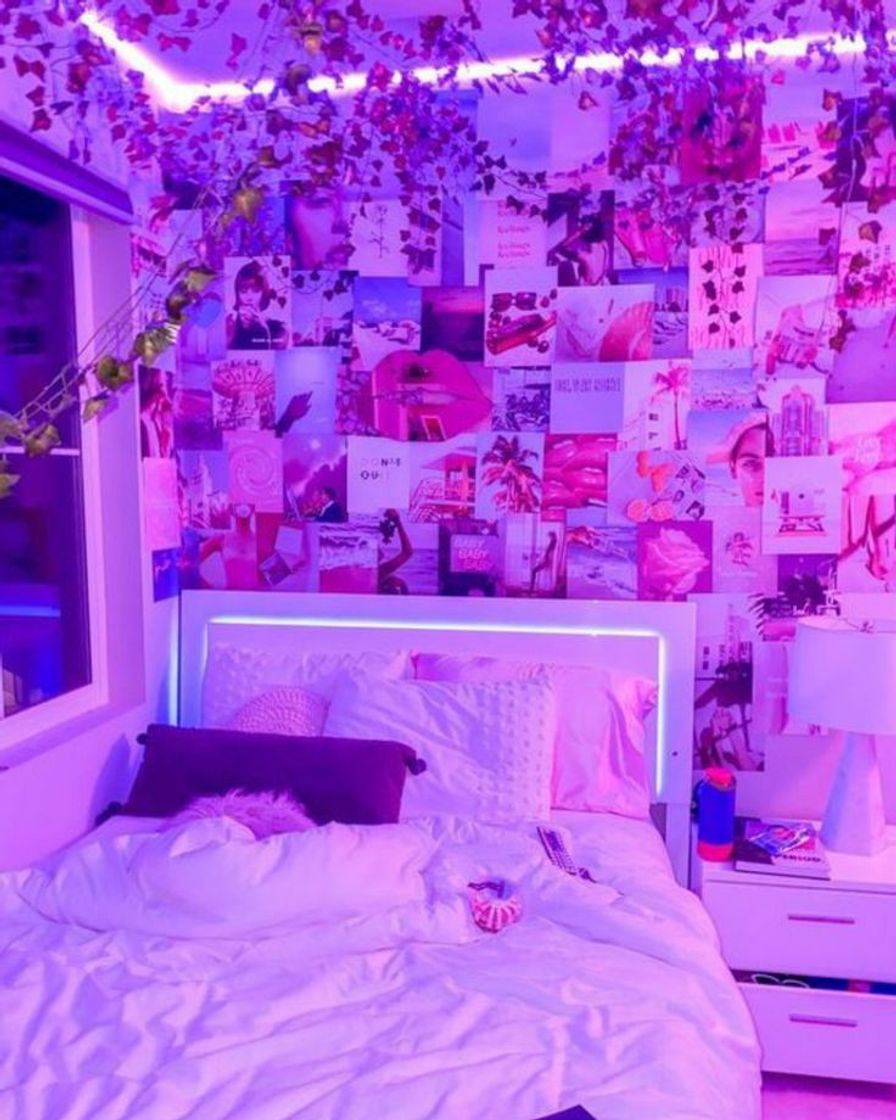 Fashion Quarto neon